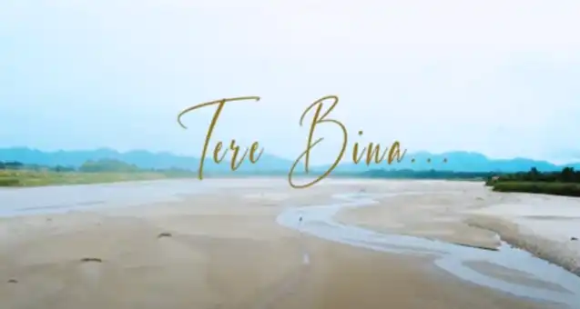 Tere Bina Mera Dil Nayon Lagda| तेरे बिना | Hindi Christian Song | Masih Geet